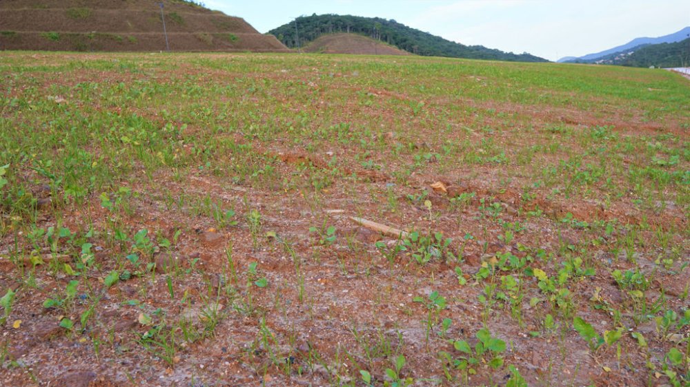 Terreno, 90 hectares - Foto 25