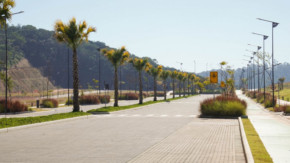 Terreno, 90 hectares - Foto 41