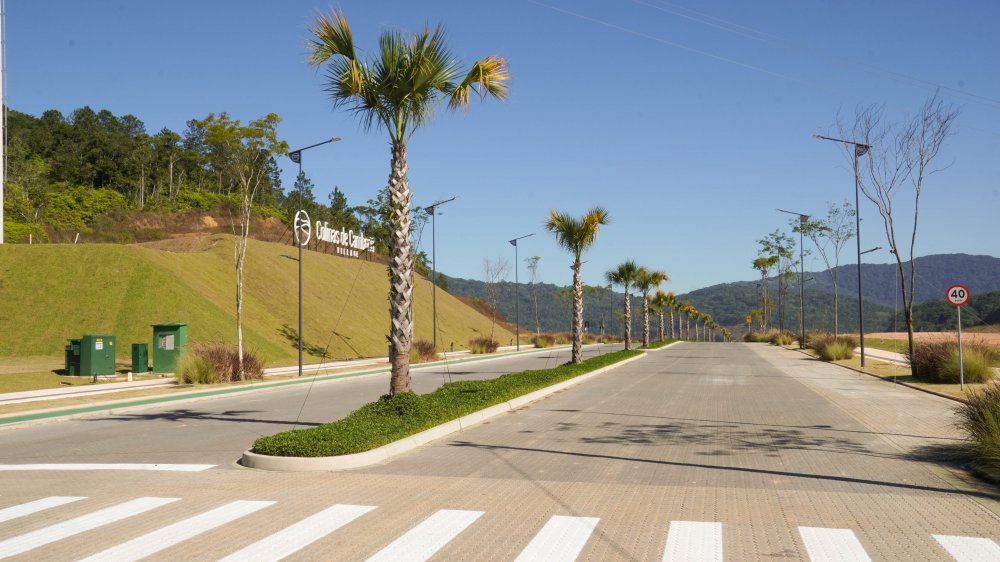 Terreno, 90 hectares - Foto 12