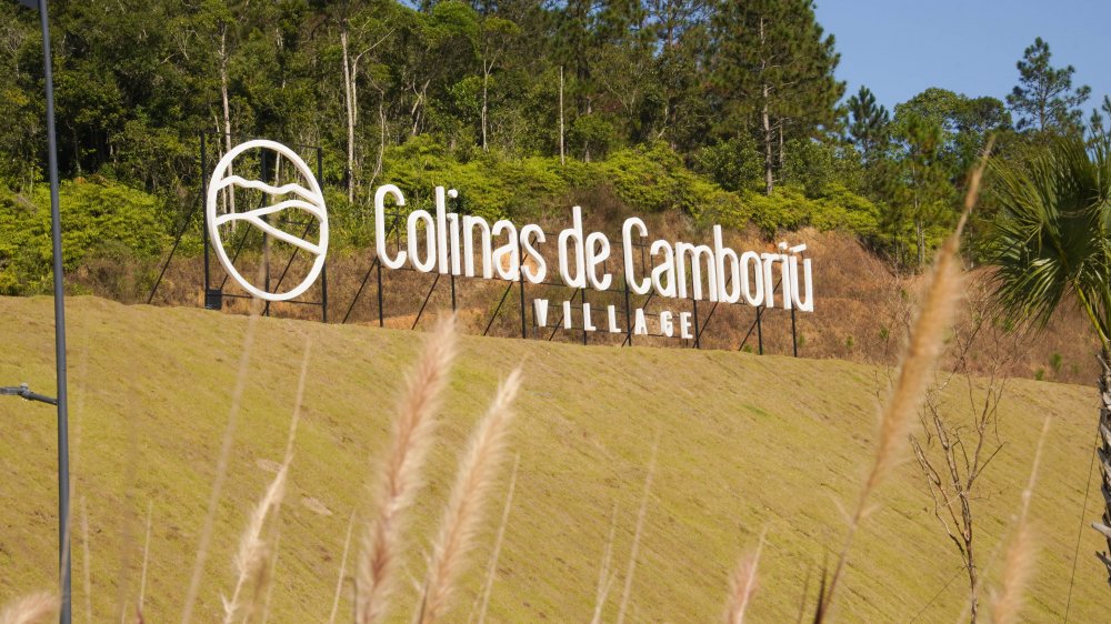 Terreno, 90 hectares - Foto 36