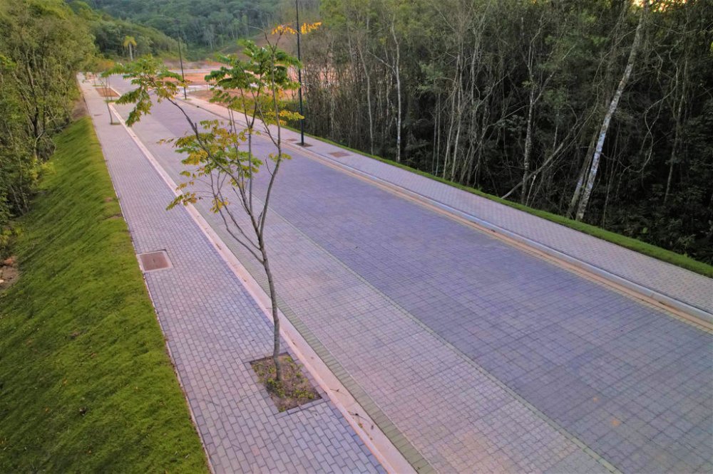 Terreno, 90 hectares - Foto 24