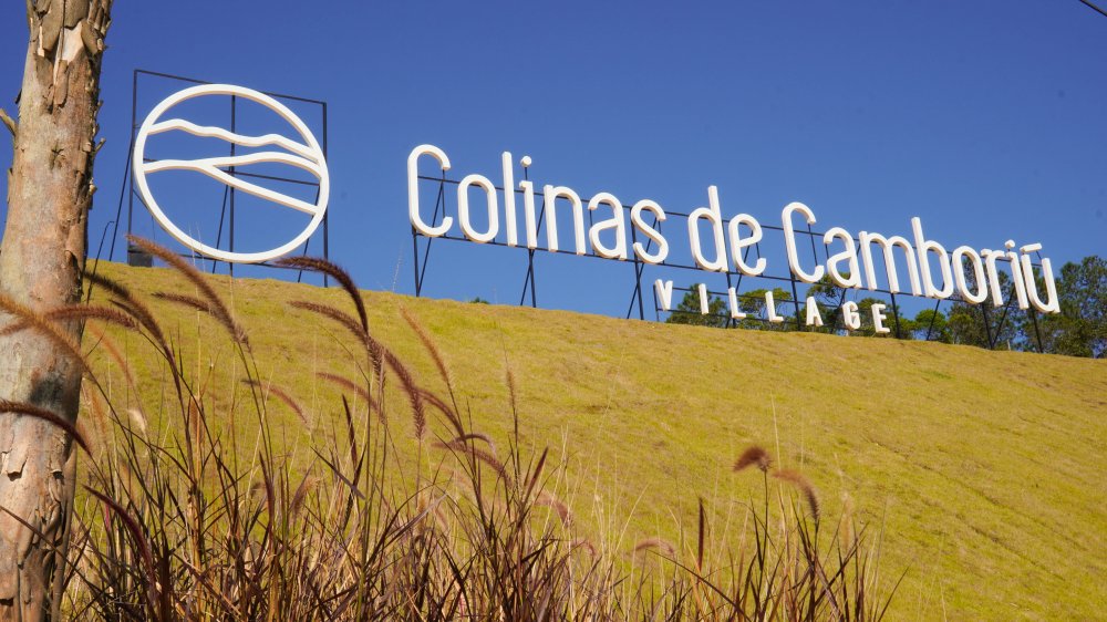 Terreno, 90 hectares - Foto 31