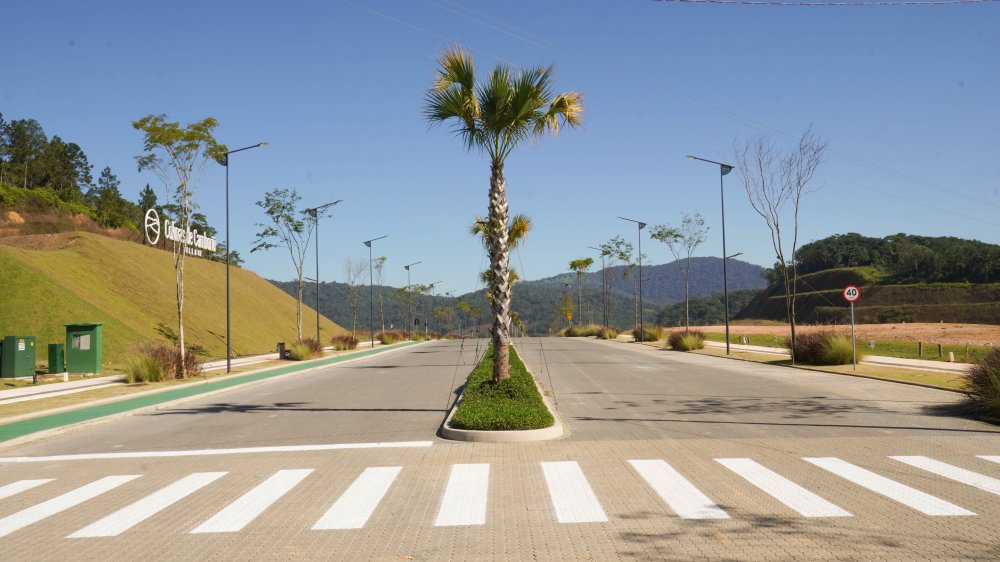 Terreno, 90 hectares - Foto 30