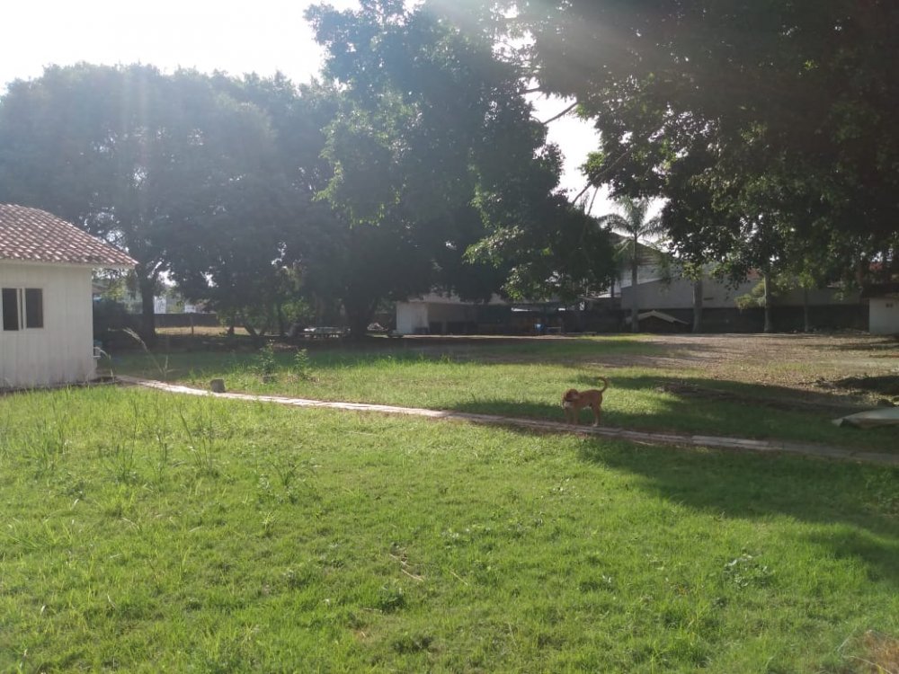 Terreno/Lote à venda  no Centro - Camboriú, SC. Imóveis