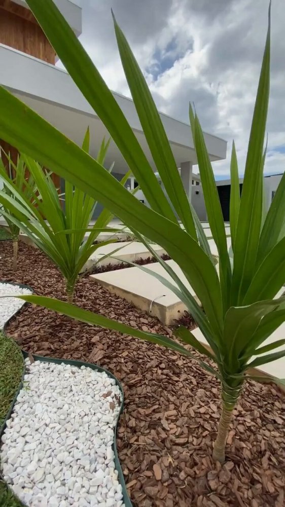 Casa, 4 quartos, 231 m² - Foto 33