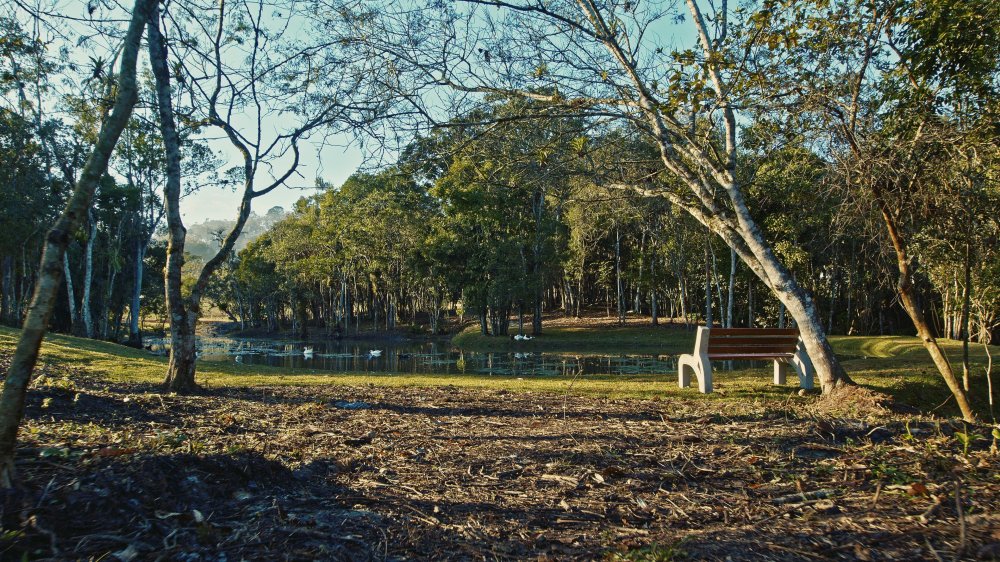 Terreno, 9 hectares - Foto 22