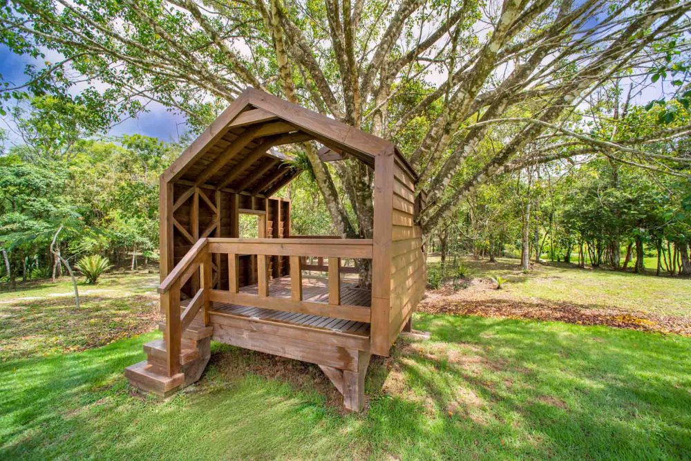 Terreno, 9 hectares - Foto 18