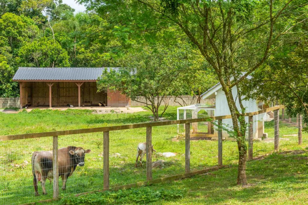 Terreno, 9 hectares - Foto 16