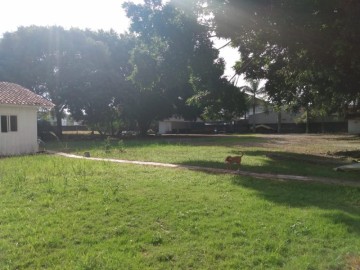 Terreno - Venda - Centro - Camboriú - SC
